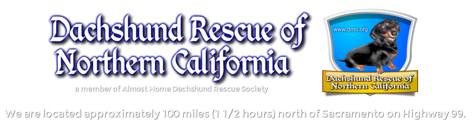 Dachshund Rescue of Northern California